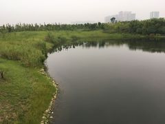 -眉山湿地公园(东坡区)