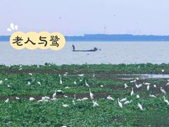 -阳澄湖半岛旅游度假区
