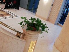 -一兆韦德(万源城店)