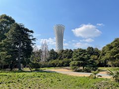 -上海滨江森林公园
