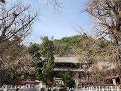 -潭柘寺景区