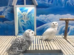 -成都浩海立方海洋公园