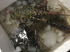 -渔人湾码头海鲜市场负二楼