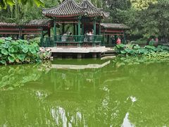 -宣武艺园