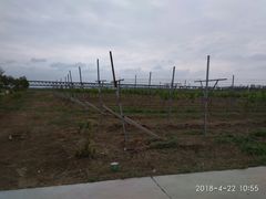 -黄河富景生态世界