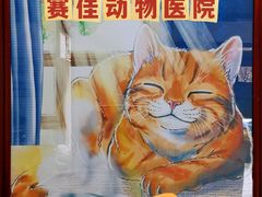 -北京赛佳动物医院