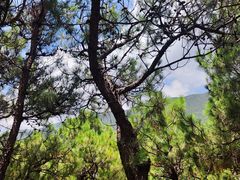 -丽江玉水寨