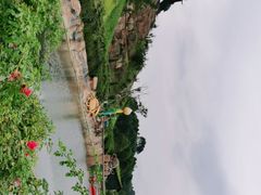 -都江堰玫瑰花溪谷