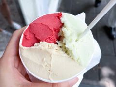 油柑茉莉-Dip in Gelato(富民路店)