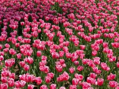 -长春公园(普阳街道)