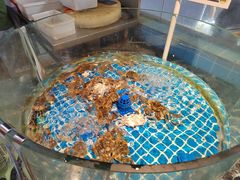 -争先鲜·蒸汽海鲜自助·鲜切牛肉