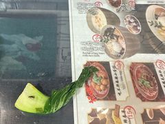 -老地方猫儿面(磁器口店)