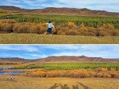 -塞罕坝国家级自然保护区