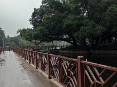 -荔湾湖公园