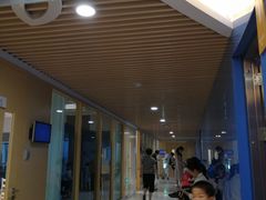 -中国宋庆龄青少年科技文化交流中心