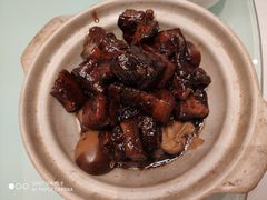 -新吉士·上海菜(浦东LCM置汇旭辉店)