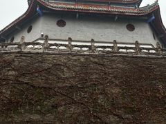 -罗记宁强核桃馍(东大街店)