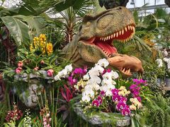 -沈阳植物园