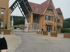 -大塘金香草谷