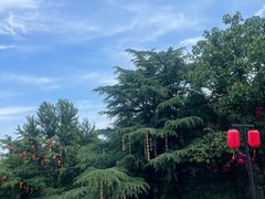 -青州古城