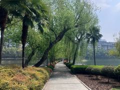 -宝岛公园