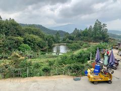 -天强农家菜馆