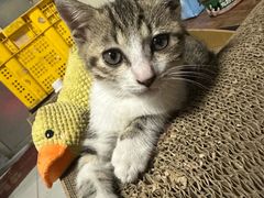 -海底捞火锅(创意园店)