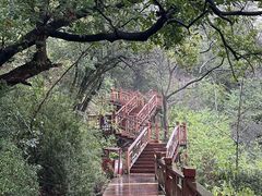-石燕湖生态旅游景区