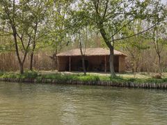 -溱湖国家湿地公园