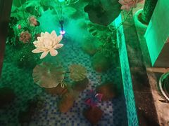 -尚帝美食城(八號院·牡丹公园店)