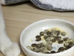 -芭比堂动物医院·心脏专科·夜诊·吉雅分院