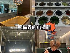 -海底捞火锅(龙岗星河COCO Park店)