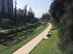 -深圳大学总医院