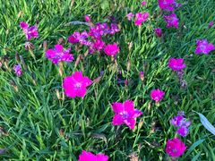 -野鸭湖国家湿地公园