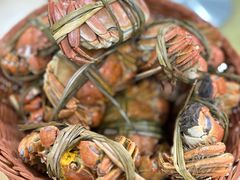 -渔娘蟹庄(阳澄湖莲花岛店)