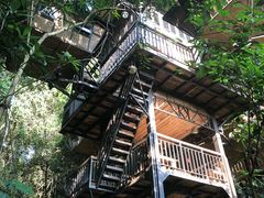 -天门沟九州驿站树上汤泉