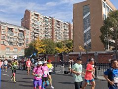 -龙华素斋(龙华路店)