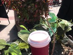 -COSTA COFFEE(上海虹口公园店)