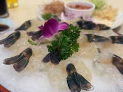 -沙龙酒家