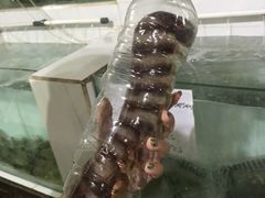 -海盗餐厅