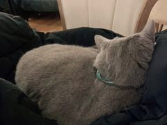 -么么咖啡(燕郊店)