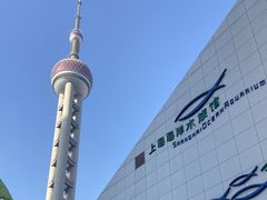 -上海海洋水族馆