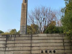 -美丽洲堂