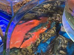 -新海渔港·胶东海鲜家常菜·家宴(奥体中心店)