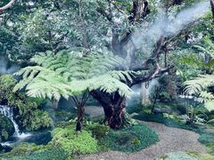 -Chom Cafe and Restaurant