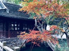 -上海醉白池公园