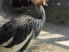-济南野生动物世界