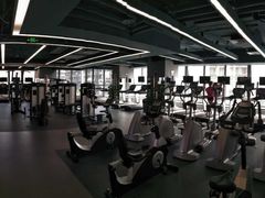 -金吉鸟健身游泳