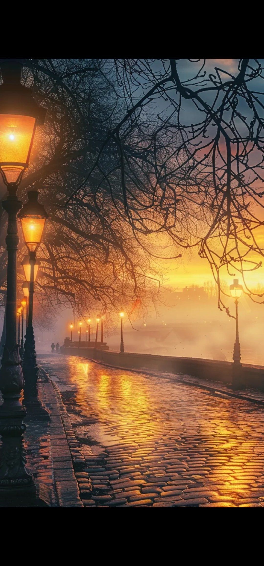 天天领红包 

雾蒙蒙的路灯下,

很有意境感啊,也很唯美