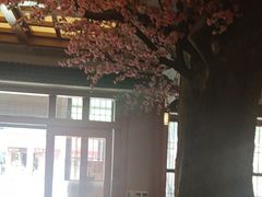 -鸥迪足道(安庆店)